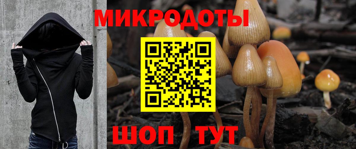 купить закладку  Галлюциногенные грибы Psilocybe  Галлюциногенные грибы мухоморы  Вход с VPN  Вязьма 