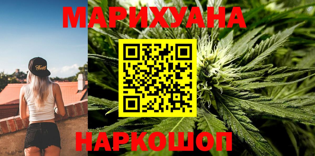 Бошки Шишки планчик Вязьма